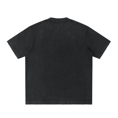 39 INTRO T-Shirt