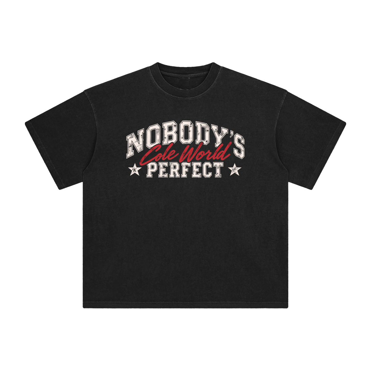 NOBODY'S PERFECT Washed T-Shirt