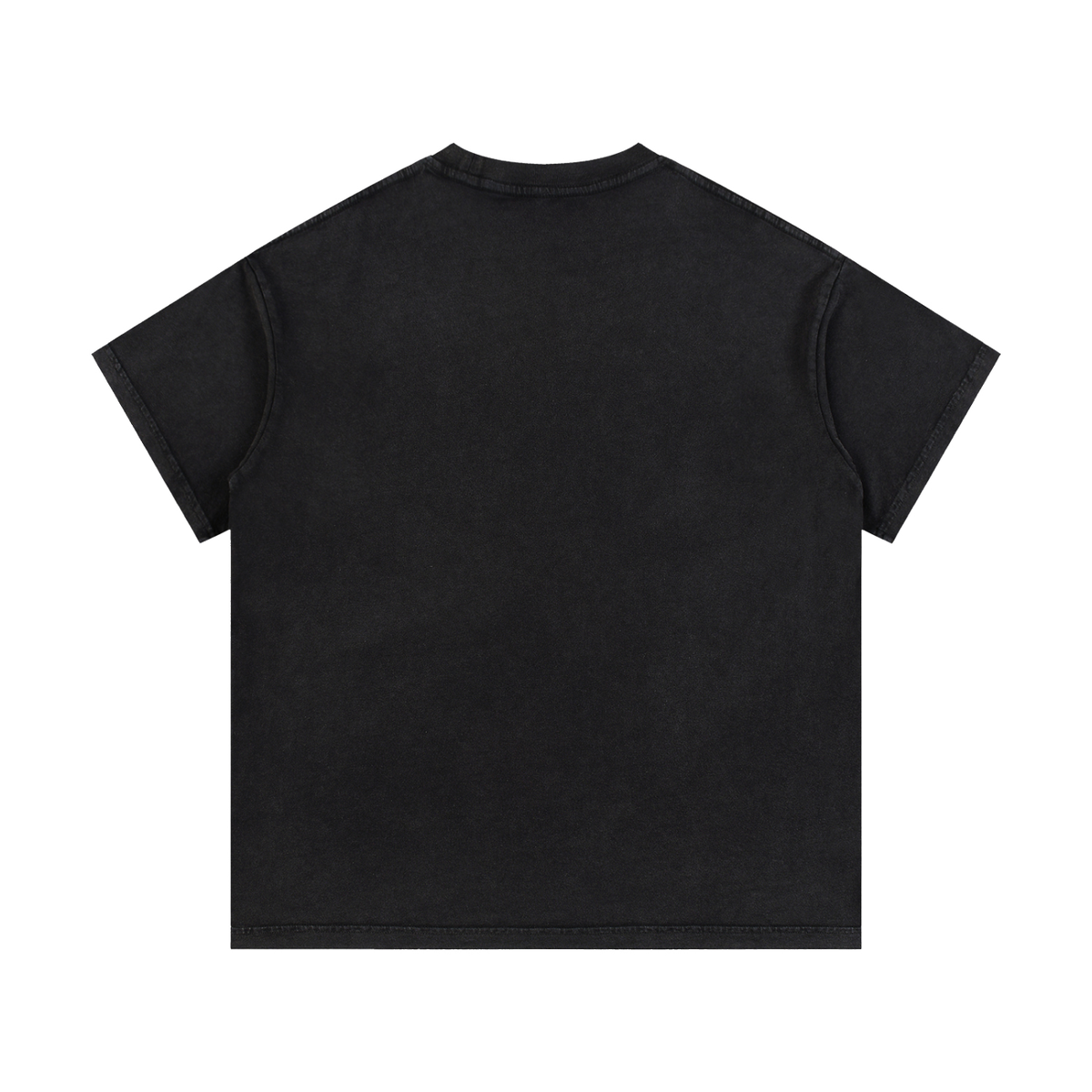 39 INTRO Wash T-Shirt